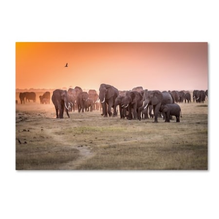 Jeffrey C Sink 'Amboseli Morning Stroll To Starbucks' Canvas Art,22x32